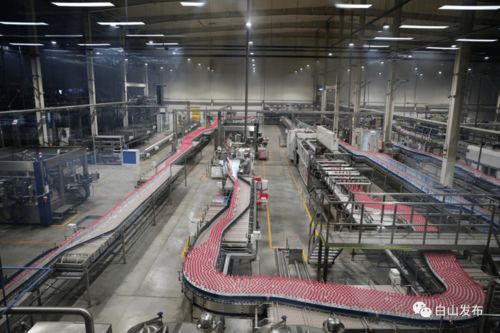 優(yōu)化營商環(huán)境助力企業(yè)發(fā)展 臨江市礦泉飲品產(chǎn)業(yè)動能強勁與技術(shù)推廣服務(wù)